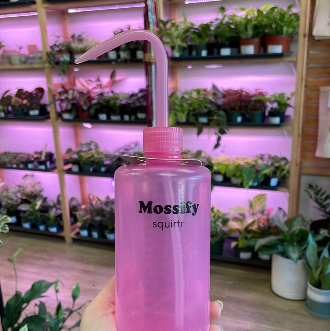 Mossify Squeeze Bottle