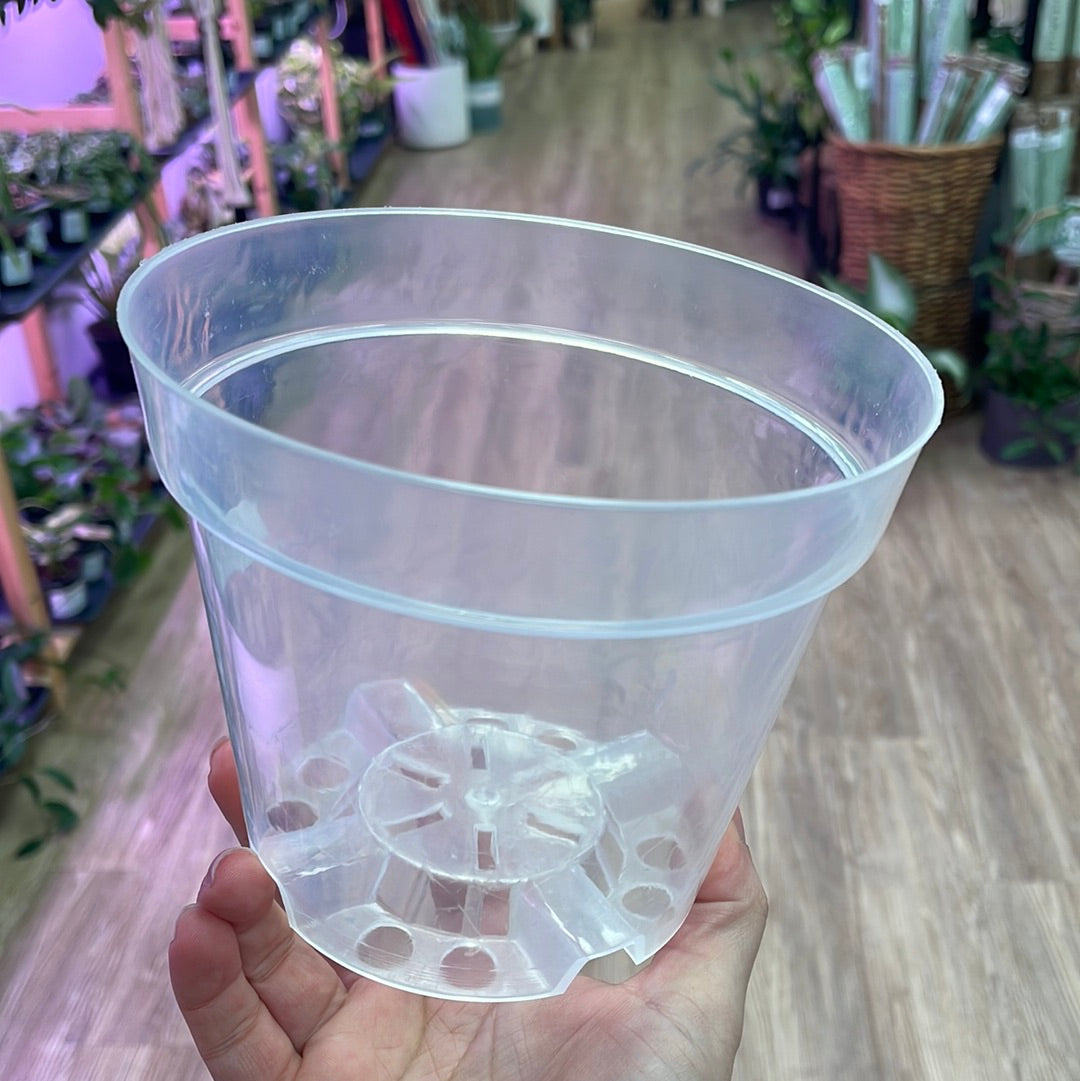 Clear Plastic Pot