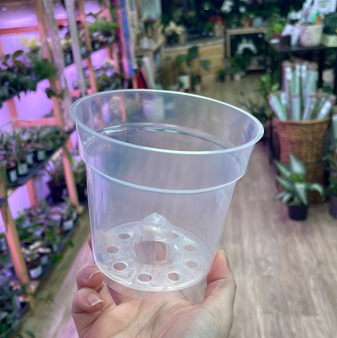 Clear Plastic Pot