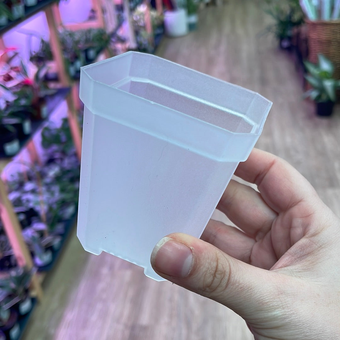 Clear Plastic Pot