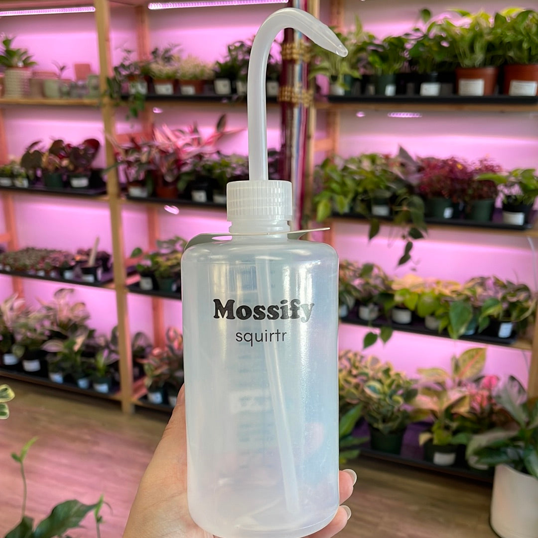 Mossify Squeeze Bottle