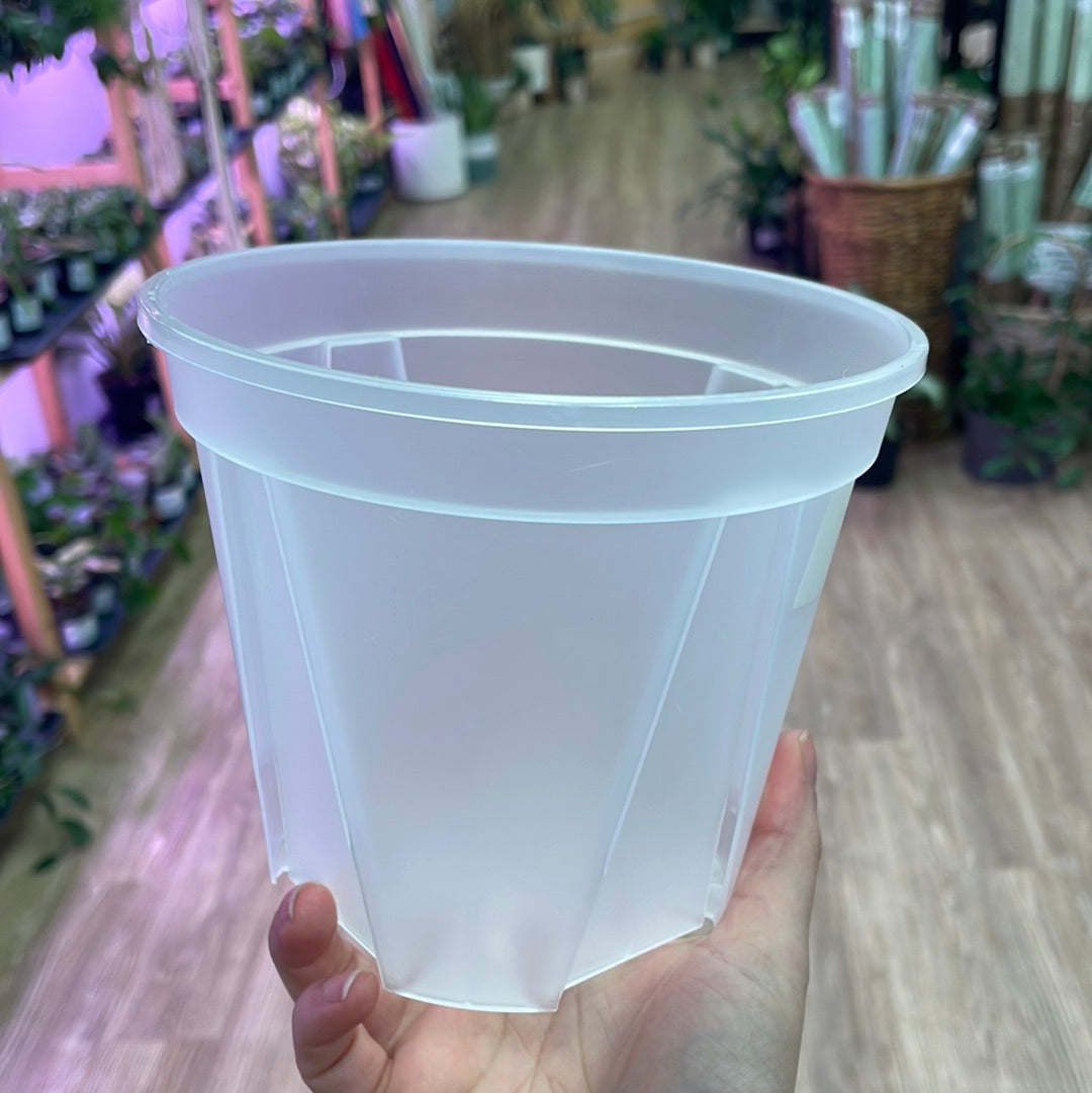 Clear Plastic Pot