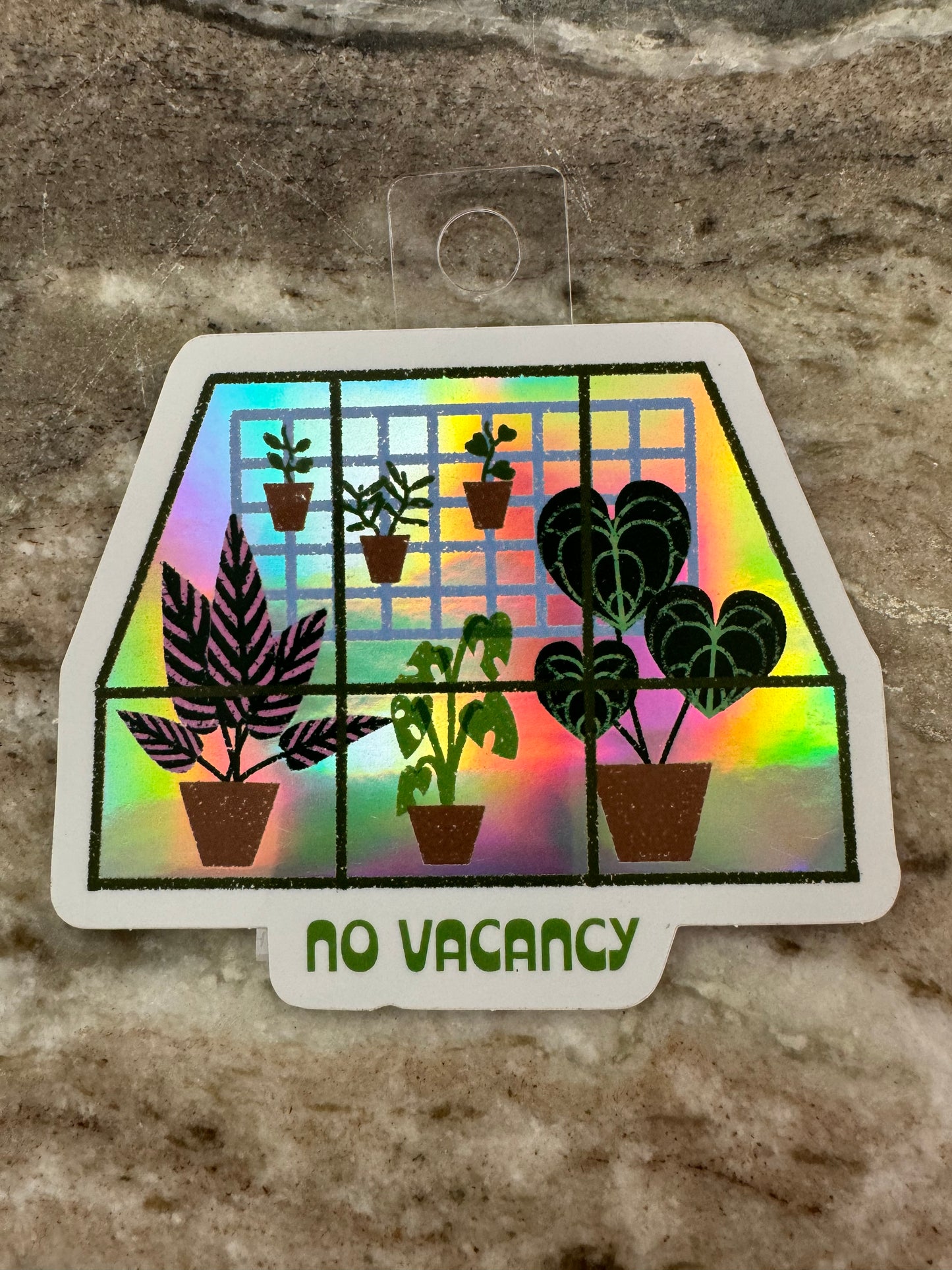 6 plants in a greenhouse with text in green “No Vacancy” holographic background 