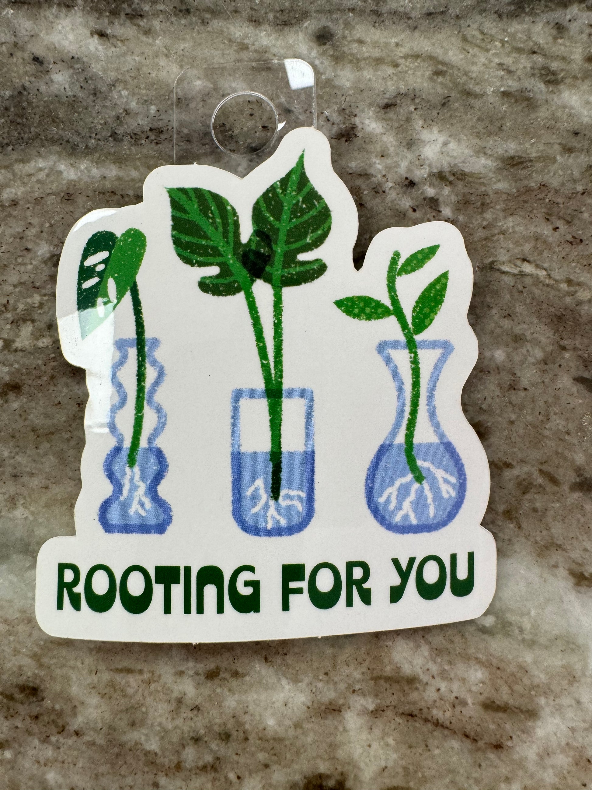 Image shows 3 plants (a monstera, a philodendron and a Hoya) in propagation jars with water, text in green reads “Rooting for you”