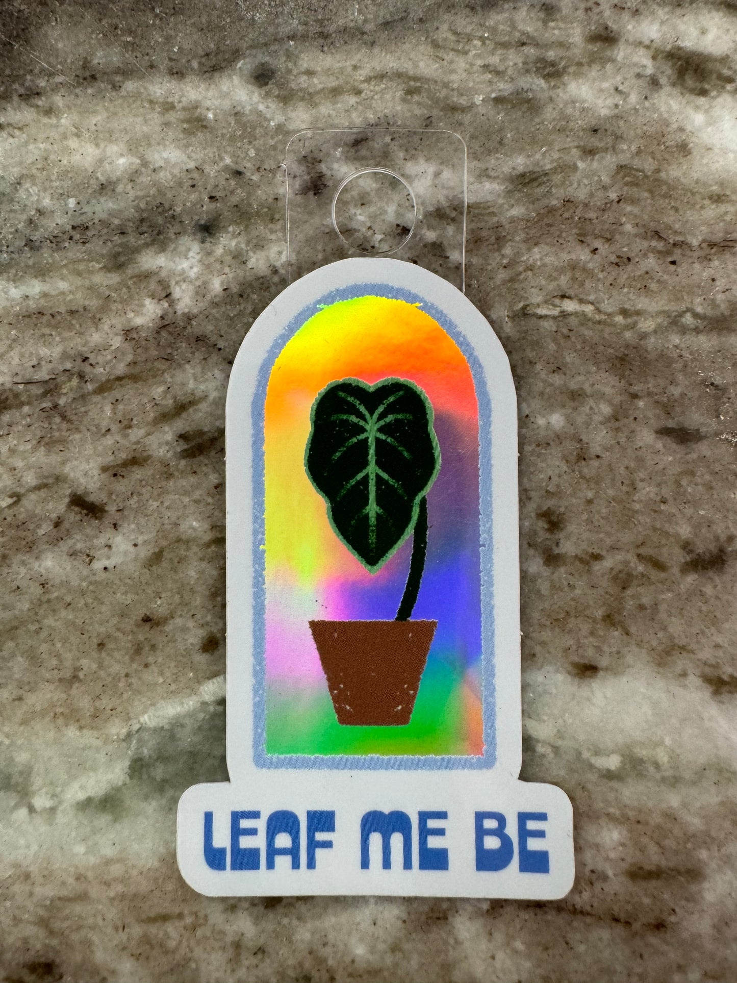 Anthurium in a window with holographic background with text in blue “Leaf me Be”