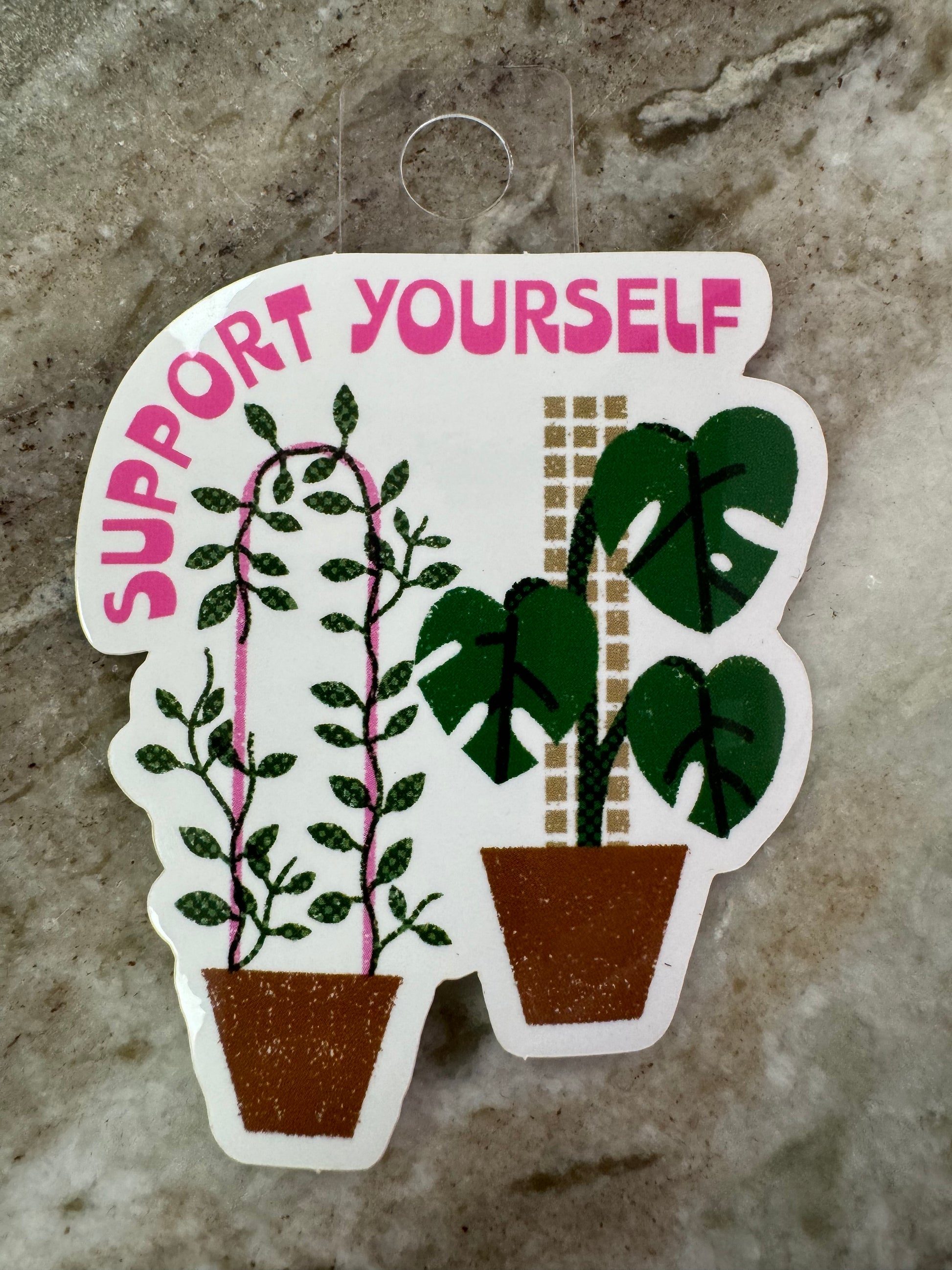 A Hoya on a trellis & a monstera on a moss pole with text in pink “Support yourself”