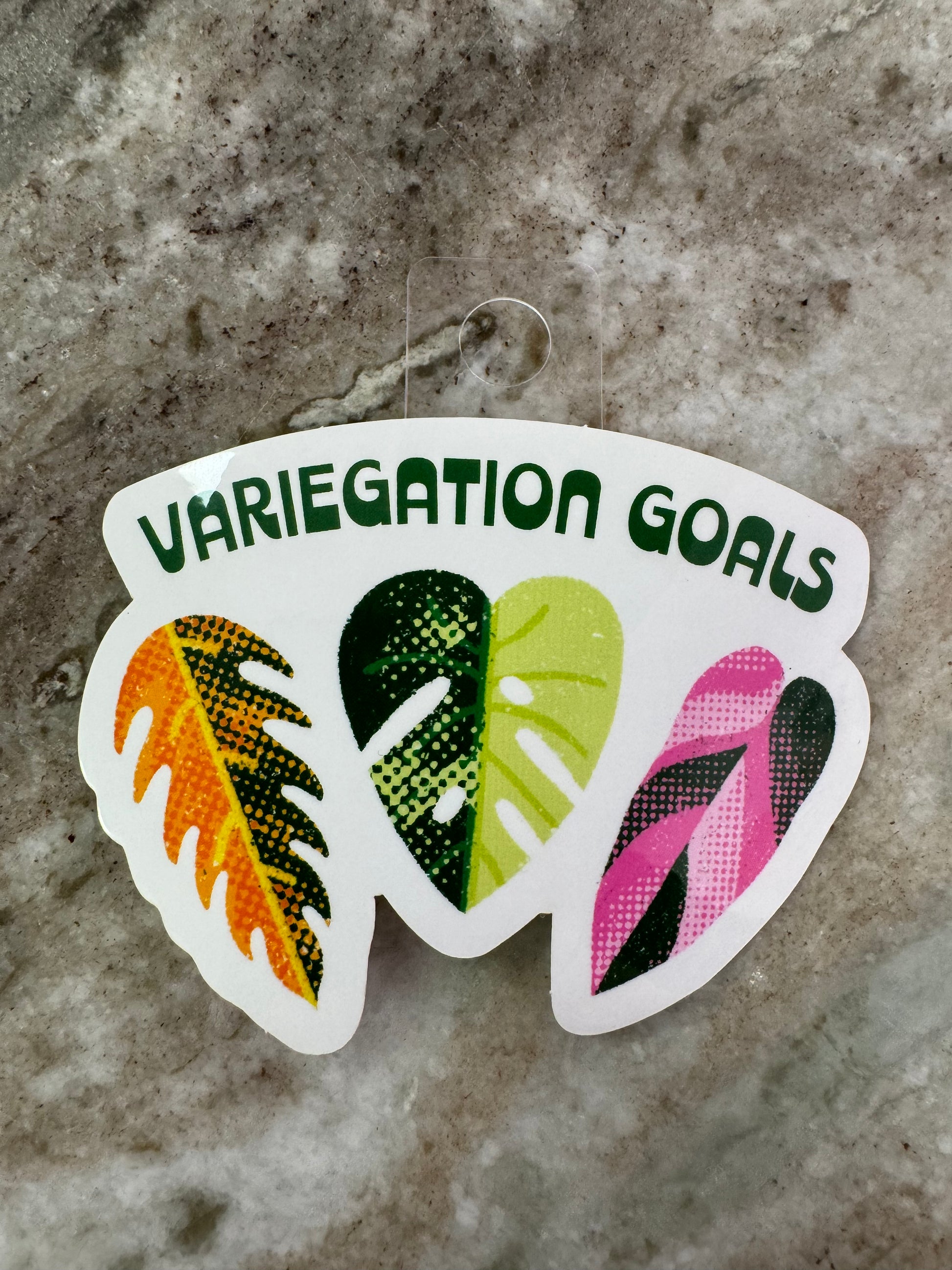 3 leaves (a ring of fire, a monstera aurea, and a pink princess) with text in green above “Variegation Goals”