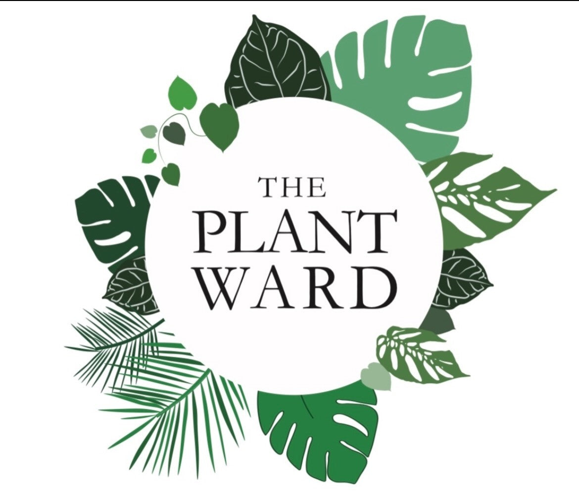 The Plant Ward